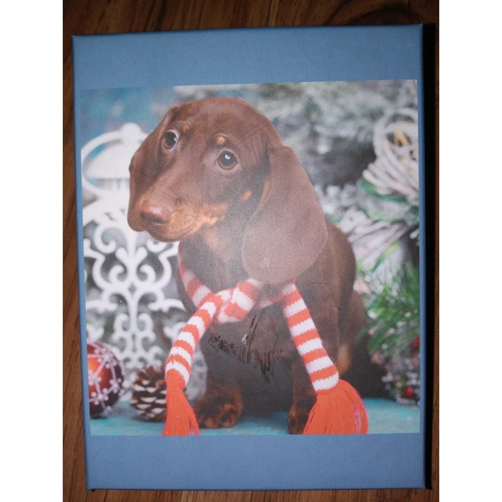 Perfectly Puzzling 100 Piece Christmas Dog Jigsaw Puzzle